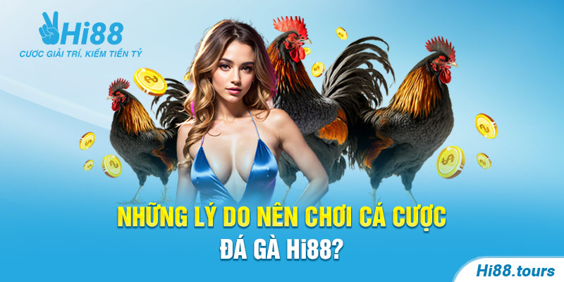 Đá gà tại Hi88 đa dạng sảnh cùng hình thức cá cược hấp dẫn