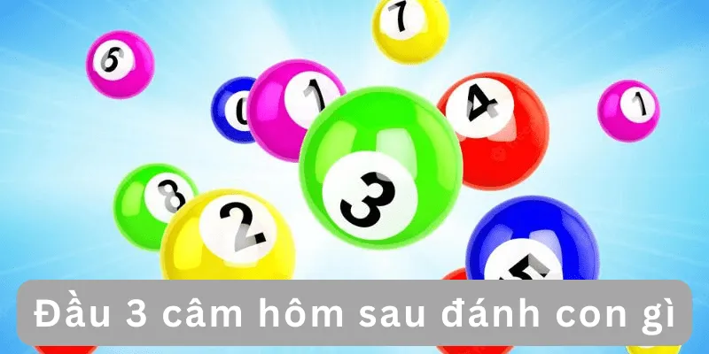 dau-3-cam-hom-sau-danh-con-gi