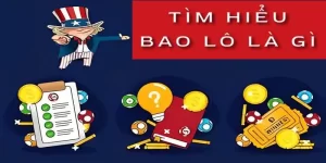 tim-hieu-bao-lo-la-gi