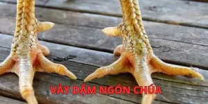 vay-dam-ngon-chua