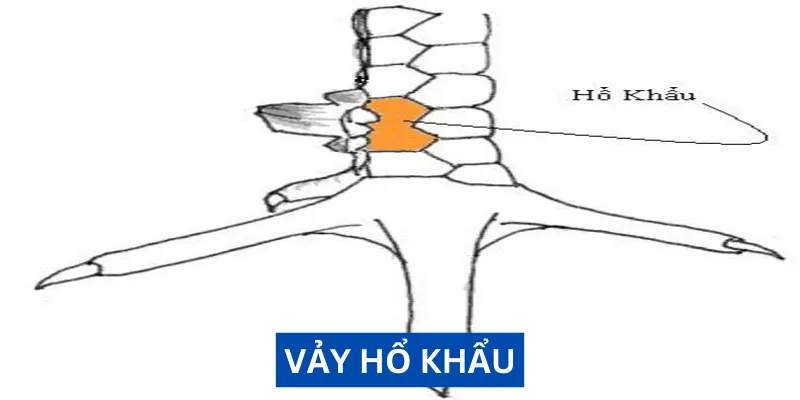 vay-ho-khau