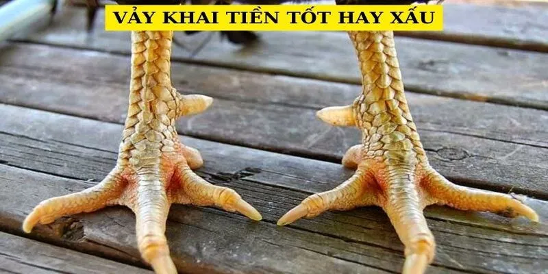 vay-khai-tien-tot-hay-xau